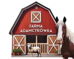 APARTAMENTY Adamcykówka blisko Velo Czorsztyn!