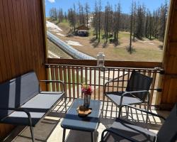 Christiana studios en hyper centre de Valberg aux pieds des pistes