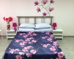 Nash Hostel