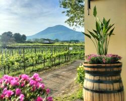 Vesuvio Inn Guest House e Wine Experience