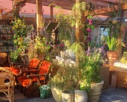 The Old School House - Gaulverjaskoli