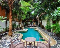 Scallywags Mango Retreat