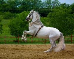 Mátyus Udvarház Kengyel Fogadó Eger