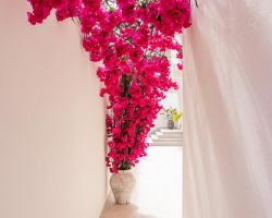 Malacosta A - MC Apartments Ibiza