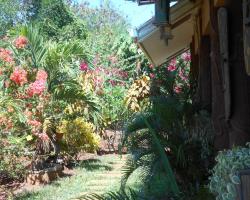 Jungle Flower Guest House