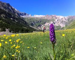 Hostel-Albergue Monte Perdido