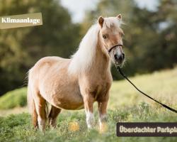 Ferienwohnung Silvia