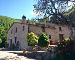 Hostal rural Masia el Buxaus Montseny