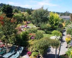 Island View B&B