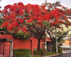 Arbol de Fuego Eco-hotel