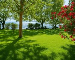 International Glamping Lago Di Bracciano