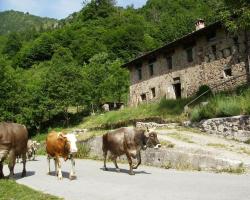 Agriturismo Le Fratte