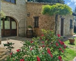 All'Ombra di San Damiano