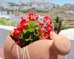 Pension Ilias - Chora Amorgos