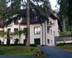 Pensiunea Daria Poiana Brasov