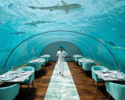 Conrad Maldives Rangali Island