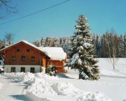 Schönes Ferienhaus in Viechtach in Waldnähe