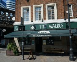 The Walrus Bar and Hostel