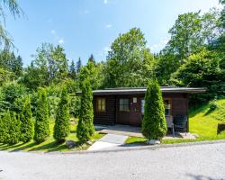 Chalet in Wörgl near Ski Bus Stop