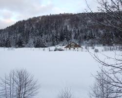 Domaine Des Hauts Viaux