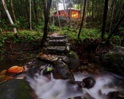 Daintree Cascades