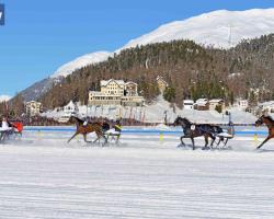 Hotel Waldhaus am See