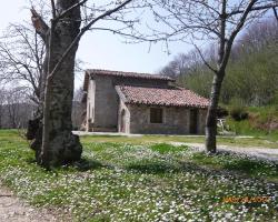 Agriturismo il Vignale