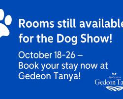 Gedeon Tanya Panzió