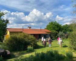 Casa Das Palmeiras-Pedagogic Farm