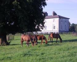 Glebe House