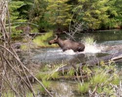 Chilcotin Lodge