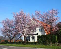 B&B Sagenland