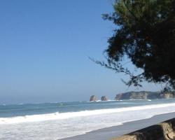 Rental Apartment Plaqueminiers - Hendaye