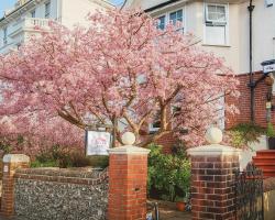 The Cherry Tree Guest House