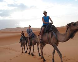 Berber Camel Trekking