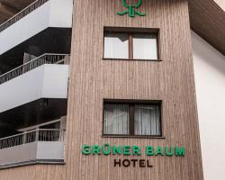 Hotel Grüner Baum