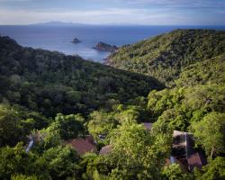 Tree house bungalows