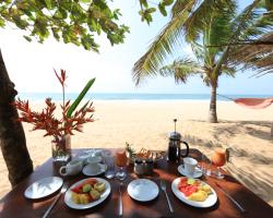 Mangrove Beach Chalets