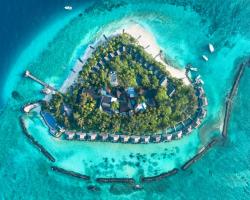 Taj Coral Reef Resort & Spa,Maldives - Premium All Inclusive with Free Transfers