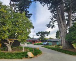 Carmel River Inn & Cottages