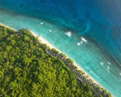 Niva Labriz Seychelles