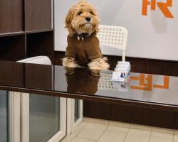 Prater Residence Aparthotel