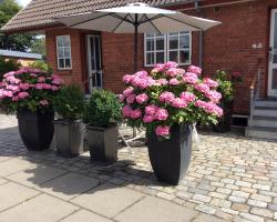 Hannas B&B - 51 m2