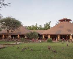 Kilima Safari Camp