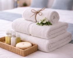 Tollì Superior Guest House