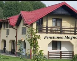Pensiunea Magnolia din Tismana