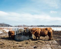 Hôtel & Spa Le Germain Charlevoix