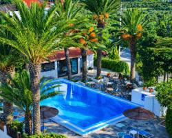 Oasis Apartments & Rooms