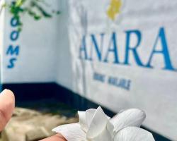 Anara Villa