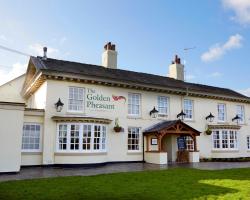 The Golden Pheasant